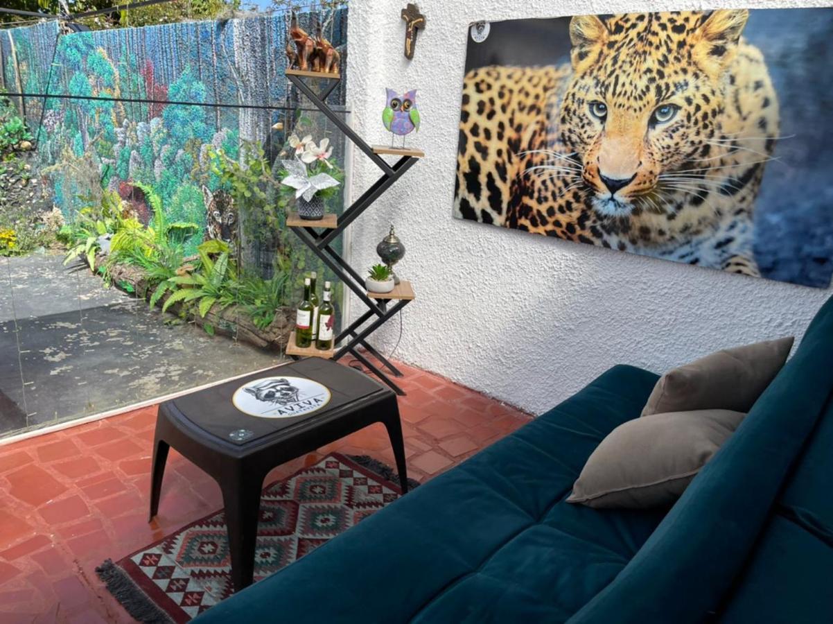 Club Aviva Guatavita - Hostel - Restaurante, Disco & Bar エクステリア 写真